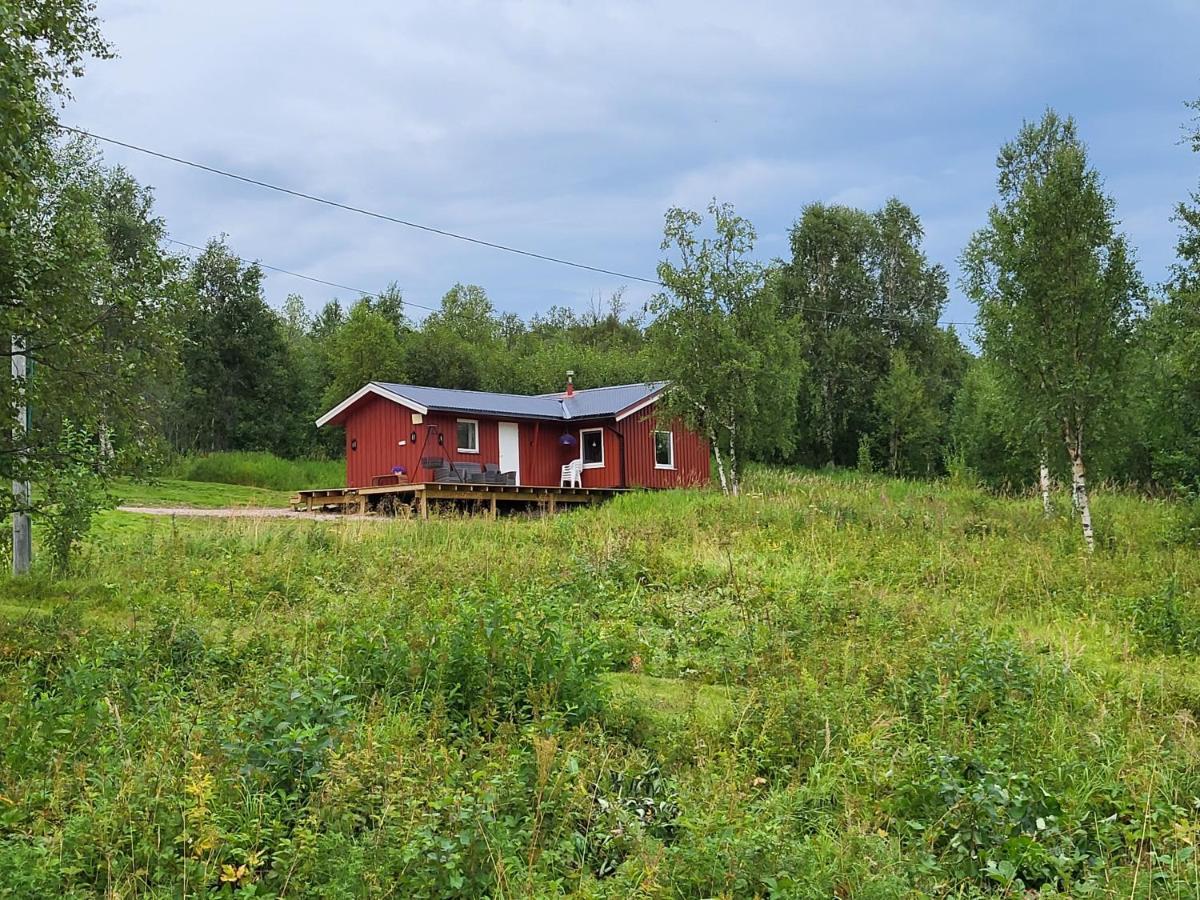 Off-The-Grid Cabin On The Island Of Senja In Northern Norway Brygghaugen Kültér fotó