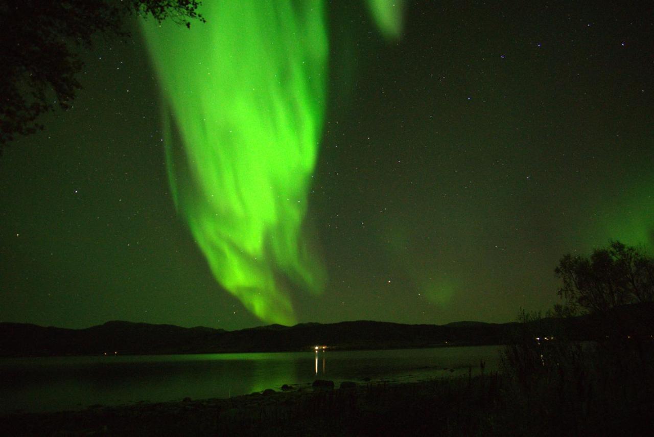 Off-The-Grid Cabin On The Island Of Senja In Northern Norway Brygghaugen Kültér fotó