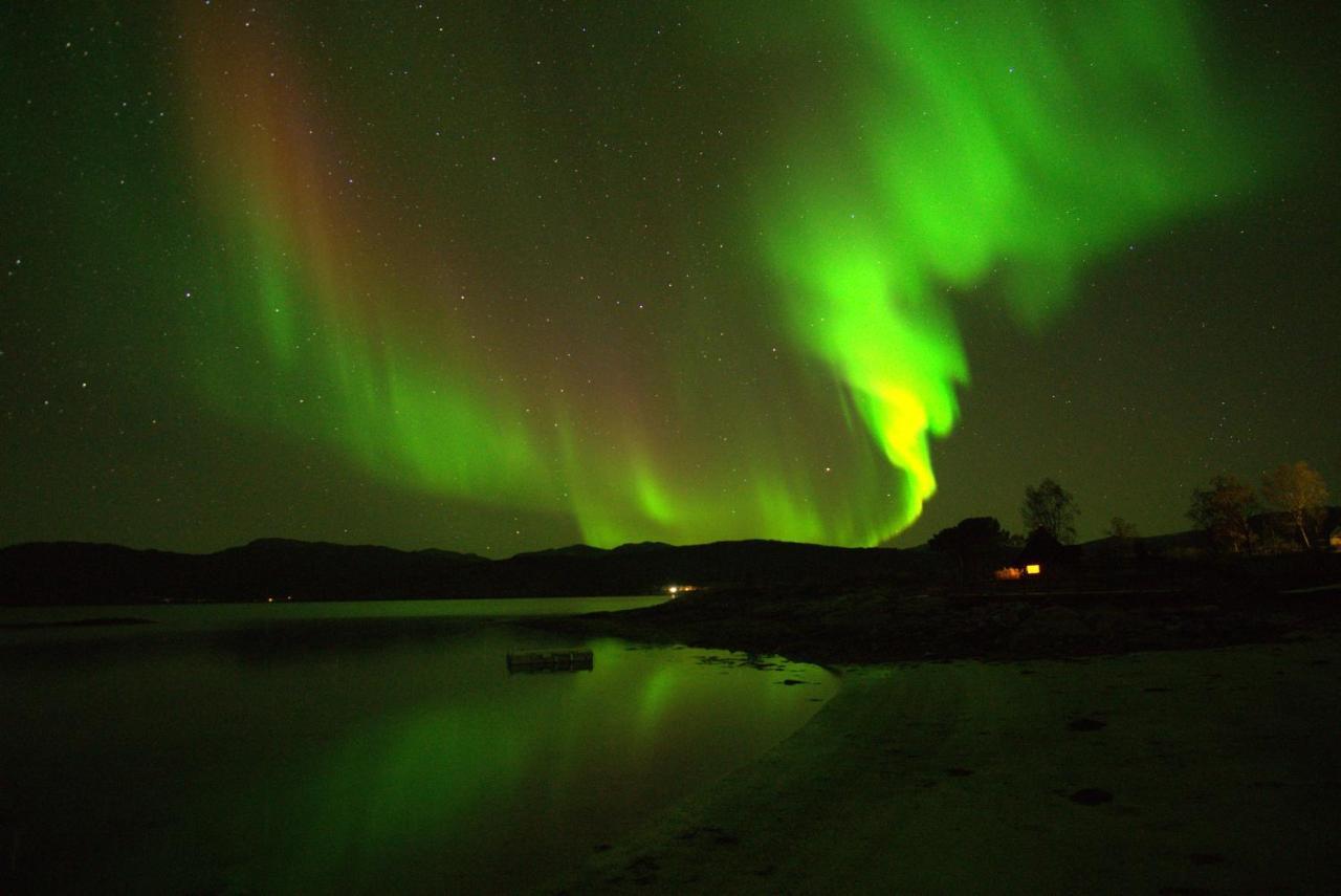 Off-The-Grid Cabin On The Island Of Senja In Northern Norway Brygghaugen Kültér fotó